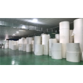 raw materials eco-friendly Pe coated paper roll